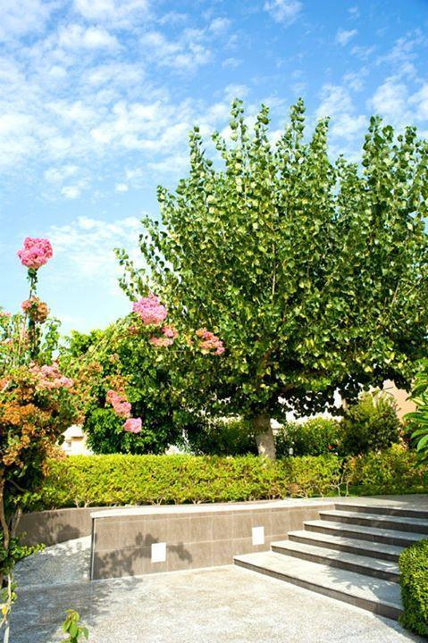 Alfa Hotel Apartments Gerani  エクステリア 写真